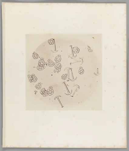 [Untitled] by Auguste-Adolphe Bertsch, photograph, 1853-1857