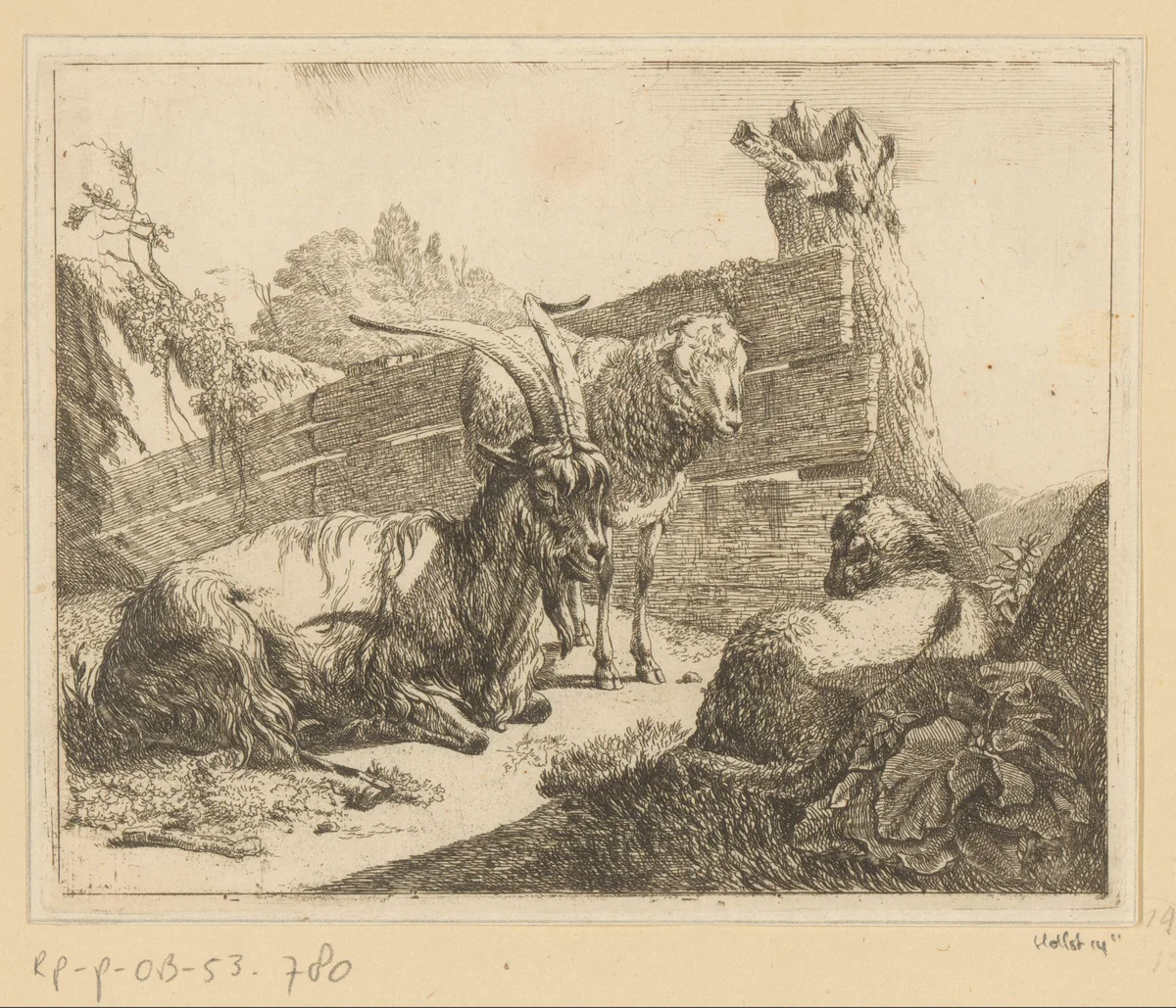 Liggende geit en schaap en staand schaap bij houten hek by Johann Heinrich Roos, print, 1665