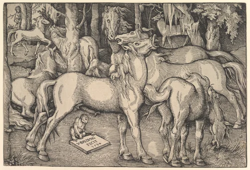 Group of Seven Horses by Hans Baldung, print, 1534