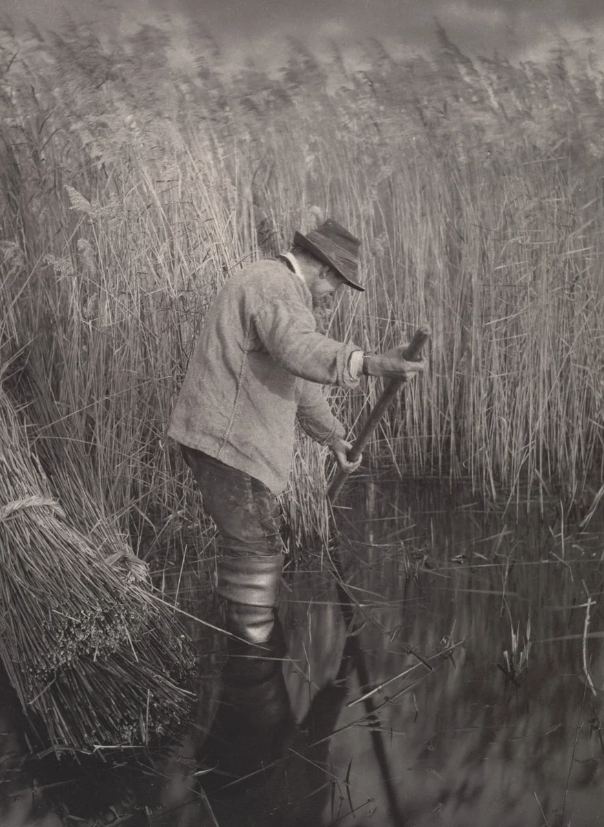 A Reed-Cutter at Work from Life and Landscape on the Norfolk Broads (London, 1886) by Peter Henry Emerson, photograph, 1885