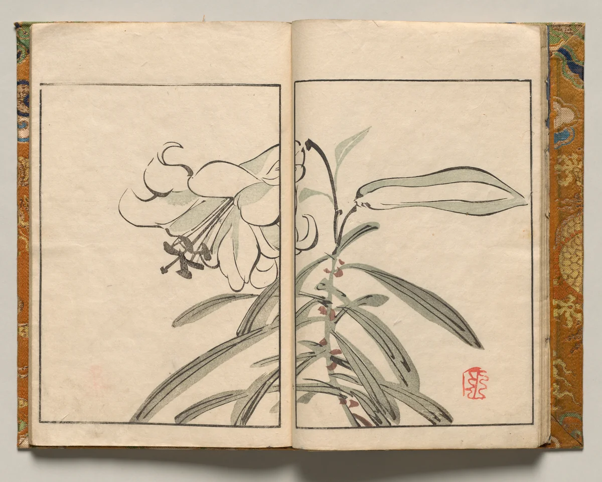 Lily, Design Seven from Shazanrō Picture Book by Tani Bunchō (谷文晁), book, 1816