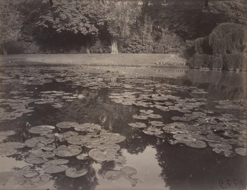Bagatelle by Eugène Atget, photograph, 1922