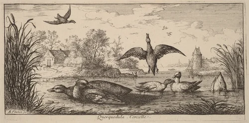Querpedula, The Teal by Albert Flamen, print, 1620-1669