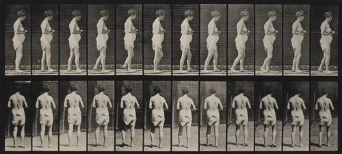 Plate Number 542. Spastic walking by Eadweard Muybridge, photograph, 1887