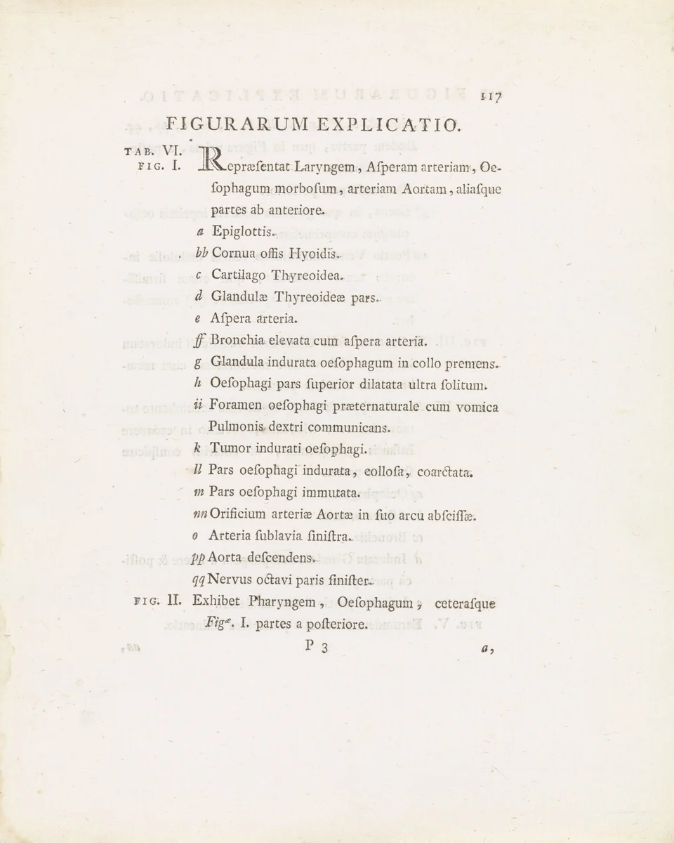 Tekstblad uit: Janus Bleuland, Observationes Anatomico-Medicae de Sana et Morbosa Oesophagi Structura, 1785 by Jan Bleuland, other, 1785