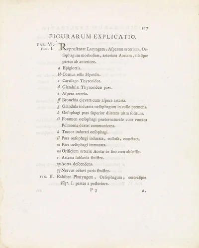 Tekstblad uit: Janus Bleuland, Observationes Anatomico-Medicae de Sana et Morbosa Oesophagi Structura, 1785 by Jan Bleuland, other, 1785