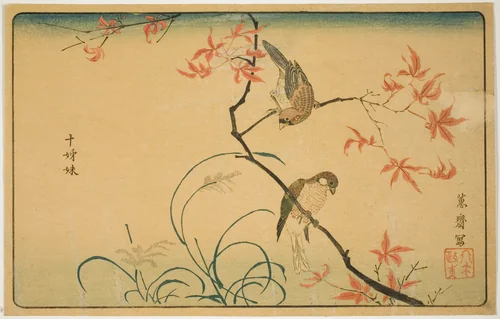 Society Finches (Jushimatsu) by Kitao Masayoshi, print, 1790-1799