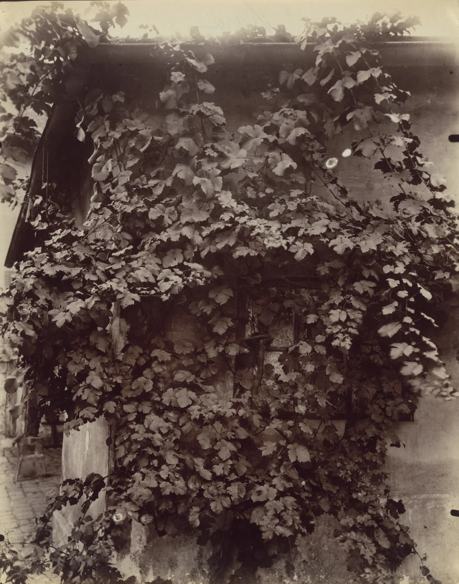 Vigne by Eugène Atget, photograph, 1900