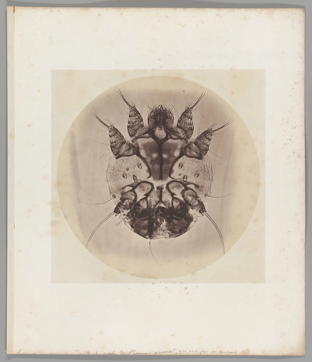 [Untitled] by Auguste-Adolphe Bertsch, photograph, 1853-1857