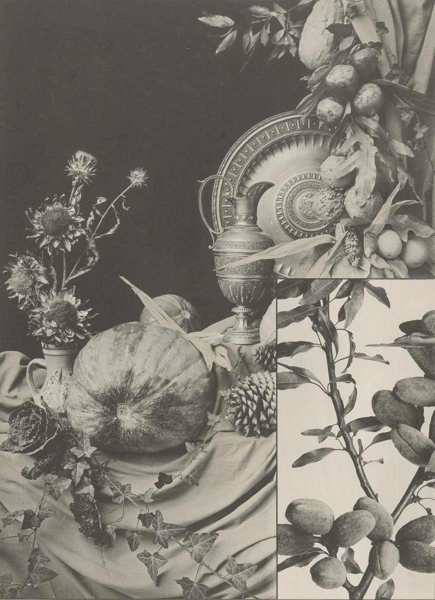 Page from Festons und Dekorative Gruppen by Unidentified Photographer, photograph, 1893