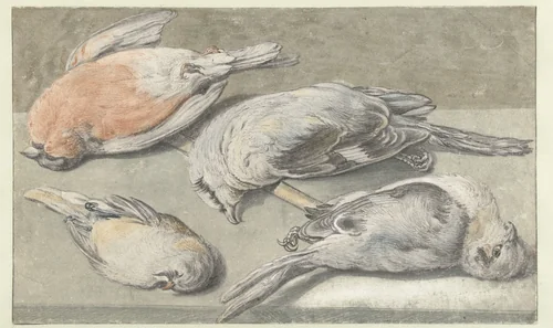 Still Life with Four Dead Birds by Elias Vonck, drawing, 1640-1652