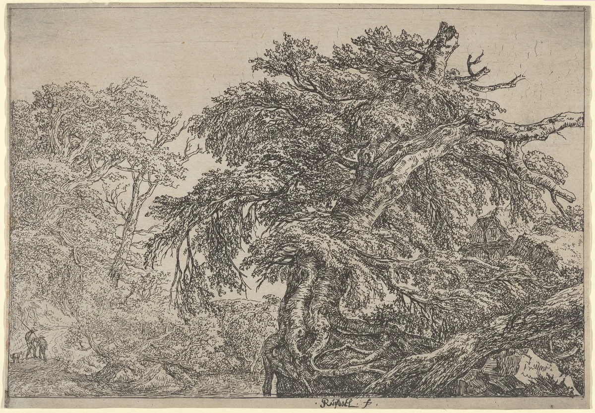 The Great Beech (Two Farmers with their Dog) by Jacob van Ruisdael, print, 1647-1657