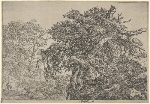 The Great Beech (Two Farmers with their Dog) by Jacob van Ruisdael, print, 1647-1657