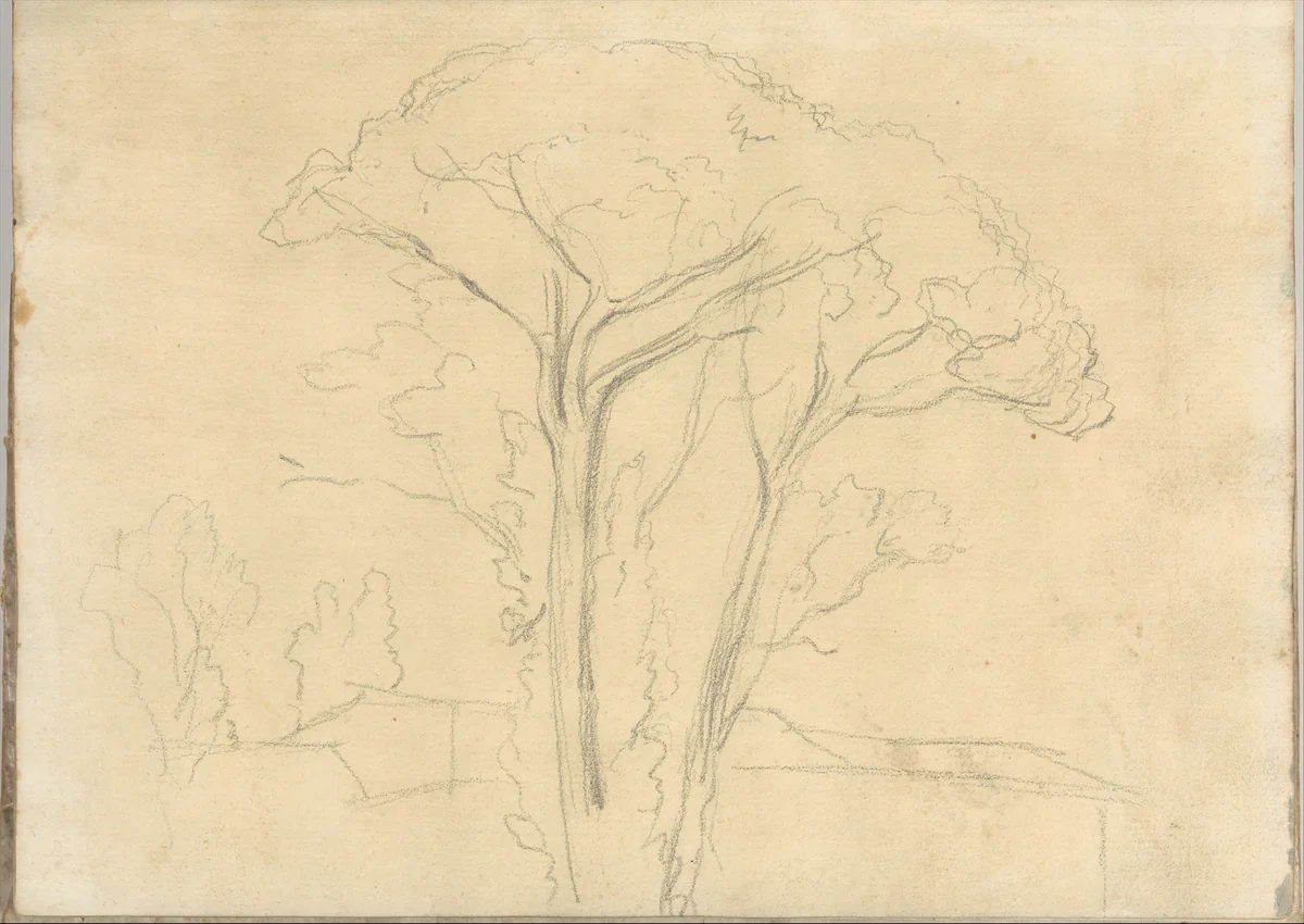 Umbrella pines and buildings, at Rome (Smaller Italian sketchbook, leaf 26 recto) by Joseph Wright, drawing, 1774-1775