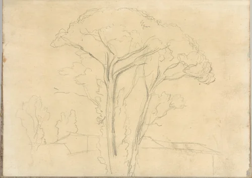 Umbrella pines and buildings, at Rome (Smaller Italian sketchbook, leaf 26 recto) by Joseph Wright, drawing, 1774-1775
