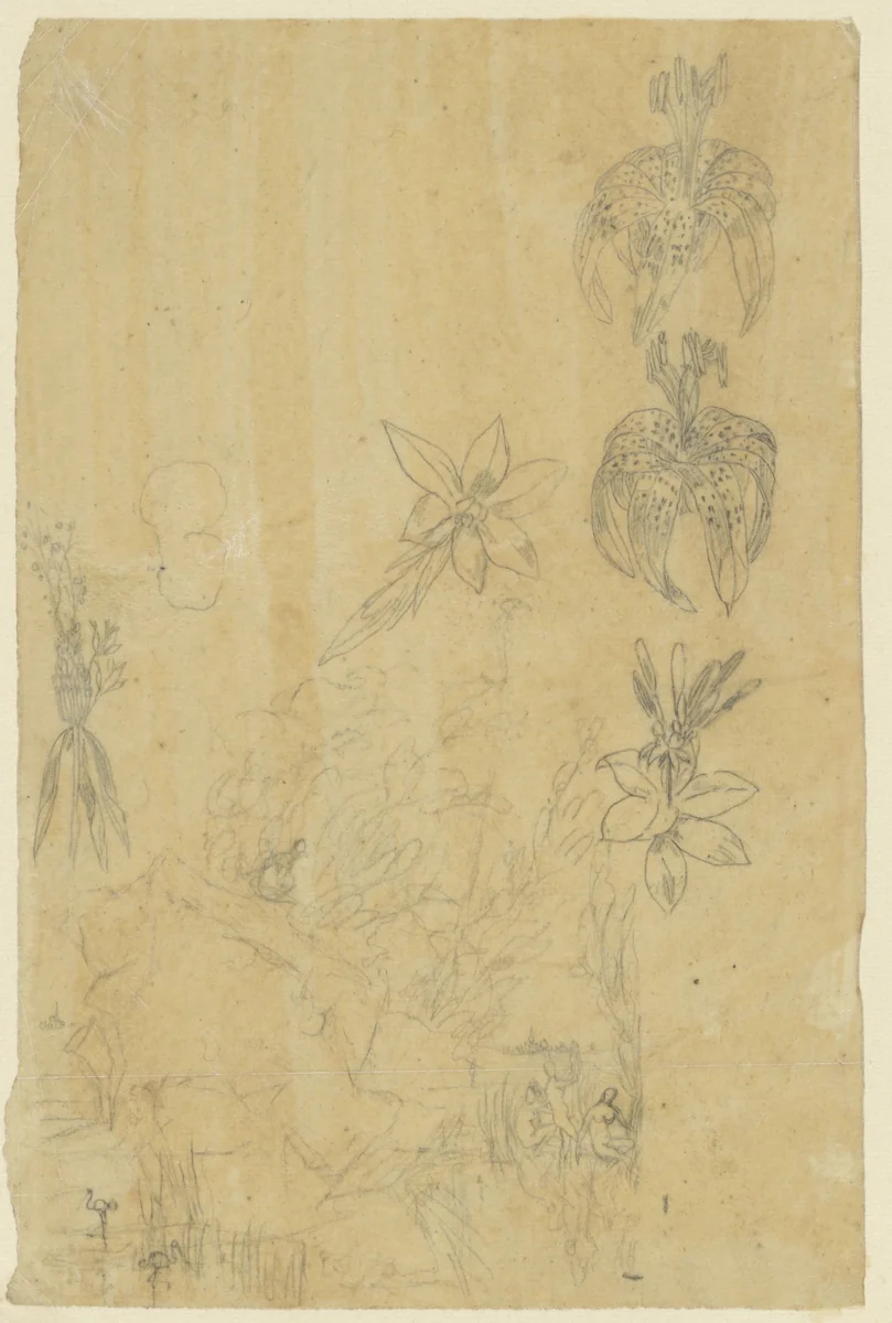 Bloemstudies en badende vrouwen by Rodolphe Bresdin, drawing, 1832-1885