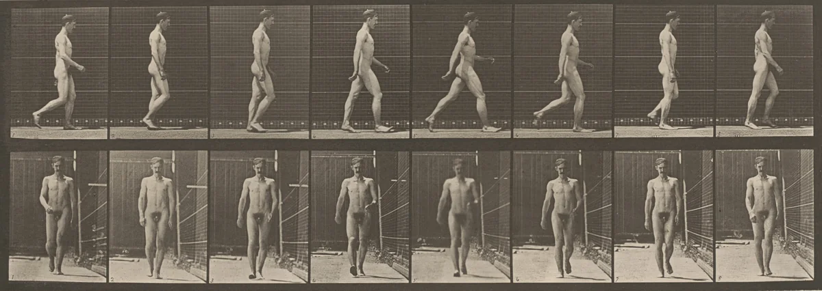 Plate Number 5. Walking by Eadweard Muybridge, photograph, 1887