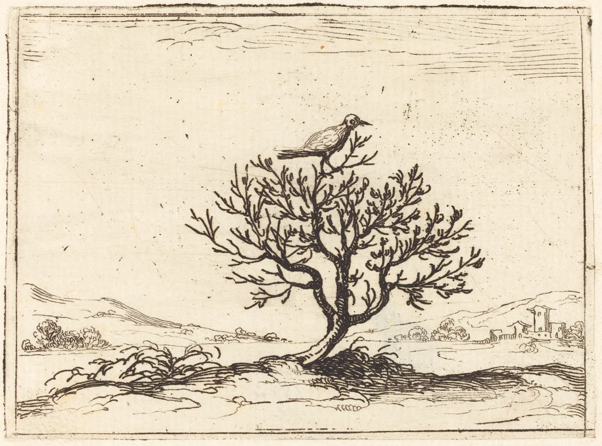 Nightingale in a Bush by Jacques Callot, print, 1628