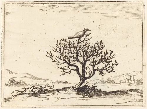 Nightingale in a Bush by Jacques Callot, print, 1628