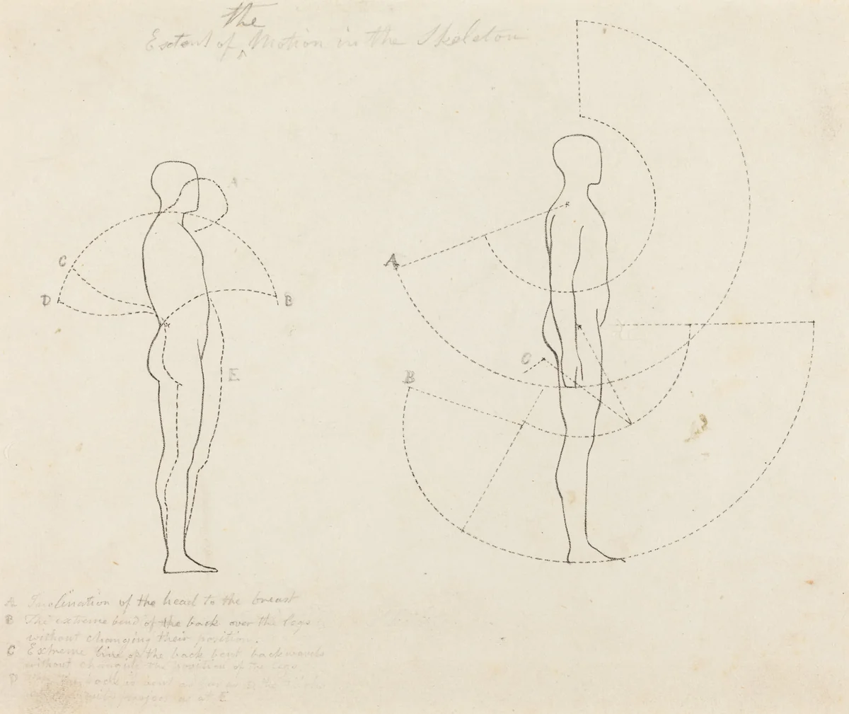 Extent of Motion Shown in Two Figures by George Scharf; John Flaxman, print, 1829