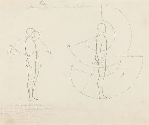 Extent of Motion Shown in Two Figures by George Scharf; John Flaxman, print, 1829