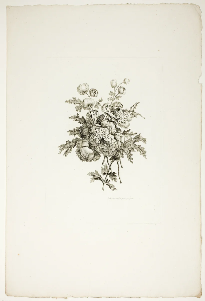 Bouquet with Peonies, from Collection of Different Bouquets of Flowers, Invented and Drawn by Jean Pillement and Engraved by P. C. Canot by Pierre-Charles Canot, print, 1760