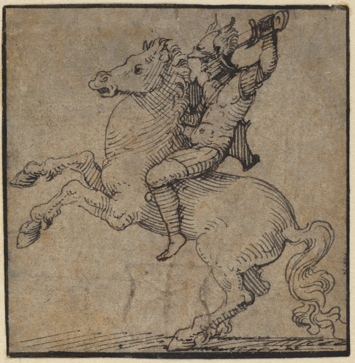 Warrior in Renaissance Armor on a Rearing Horse by Peter Vischer the Younger, drawing, 1530-1540