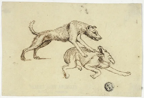 Two Dogs Fighting by Unknown Artist, drawing, 1700-1799