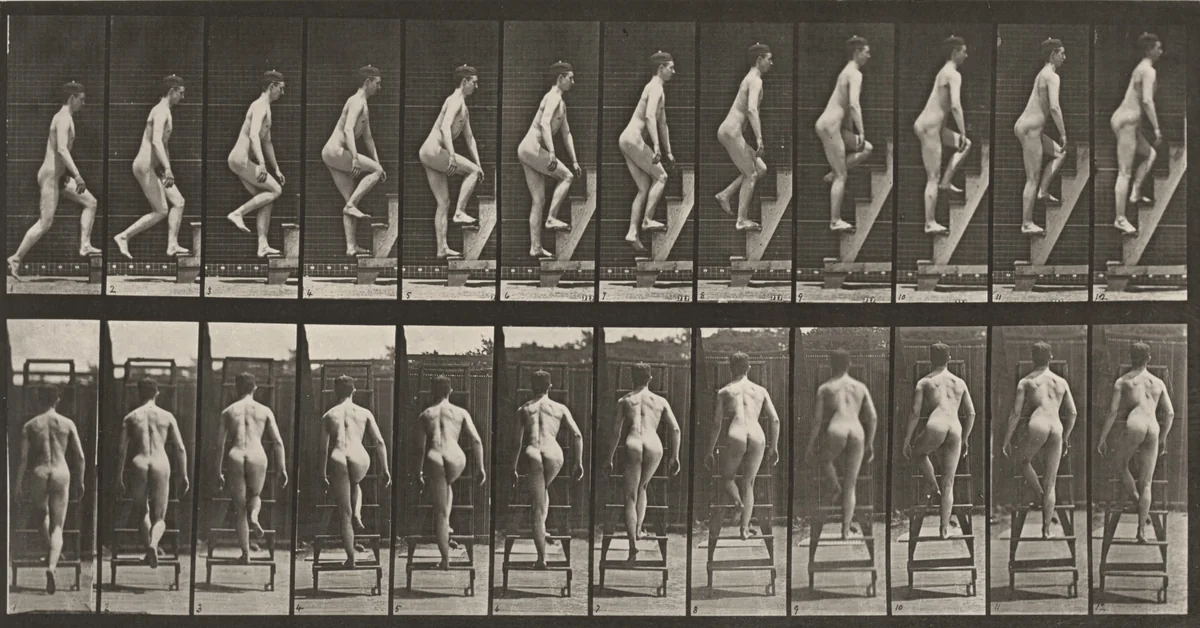 Plate Number 109. Ascending a stepladder by Eadweard Muybridge, photograph, 1887