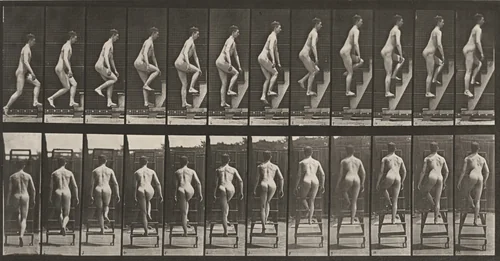 Plate Number 109. Ascending a stepladder by Eadweard Muybridge, photograph, 1887