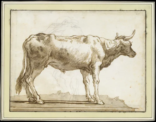 A Bullock Standing to the Right (on a Base) by Giovanni Domenico Tiepolo, drawing, 1757-1764