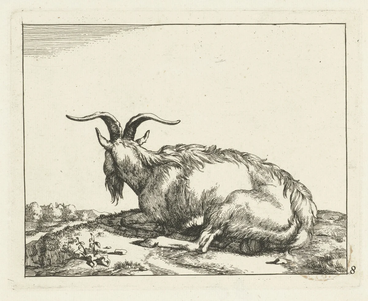 Liggende geit van achter gezien by Marcus de Bye, print, 1657-1677