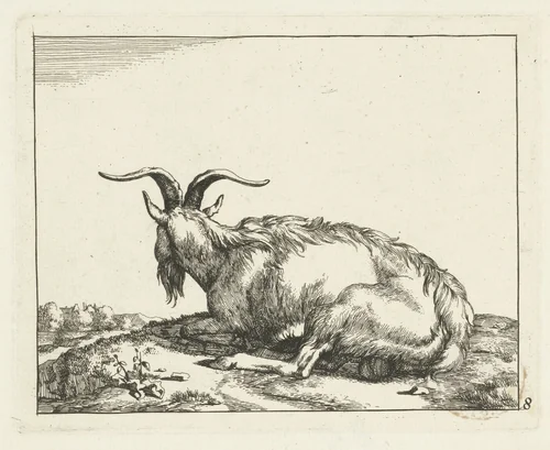 Liggende geit van achter gezien by Marcus de Bye, print, 1657-1677