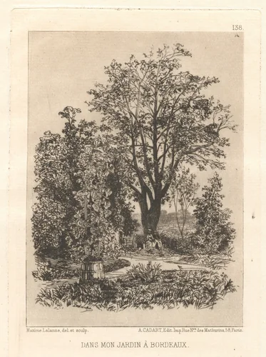 Dans Mon Jardin à Bordeaux by Maxime Lalanne; Alfred Cadart, print, 1868-1872