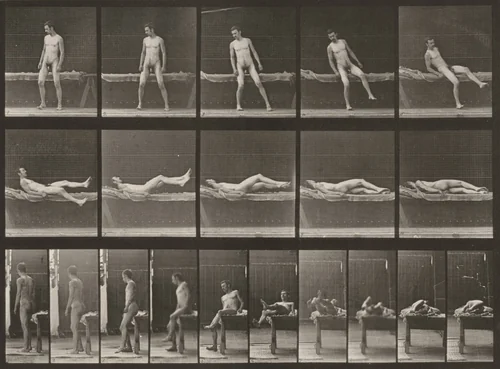 Plate Number 259. Lying on a couch and turning over on side by Eadweard Muybridge, photograph, 1887