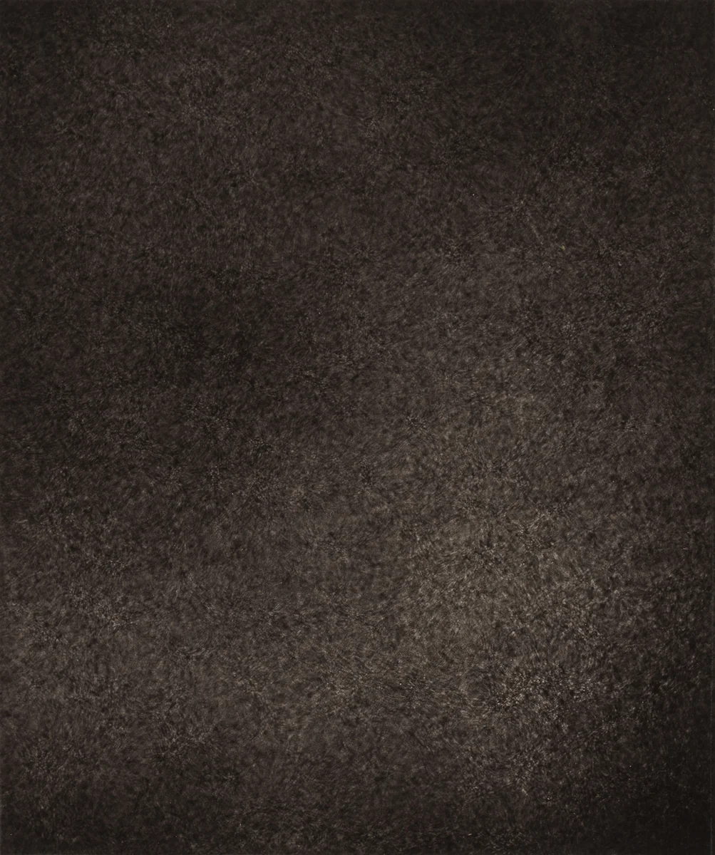 Région Centrale (Réseau Moyen), May 17, 1878, 9h 33m 58s by Jules Janssen, photograph, 1877