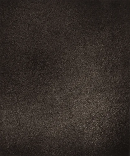 Région Centrale (Réseau Moyen), May 17, 1878, 9h 33m 58s by Jules Janssen, photograph, 1877