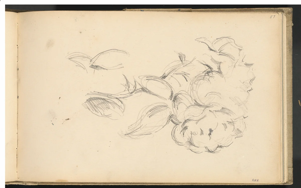 Peonies by Paul Cezanne, drawing, 1890-1893