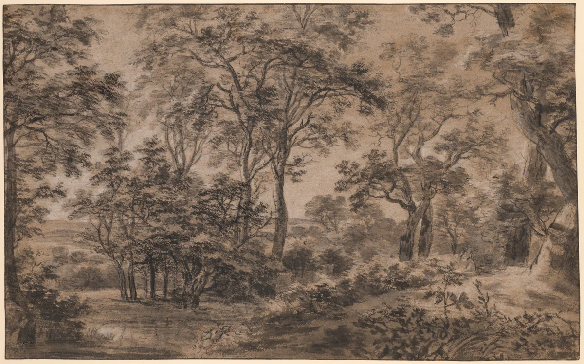 Wooded Landscape by Anthonie Waterloo, drawing, 1648-1690