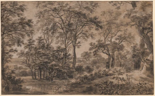 Wooded Landscape by Anthonie Waterloo, drawing, 1648-1690
