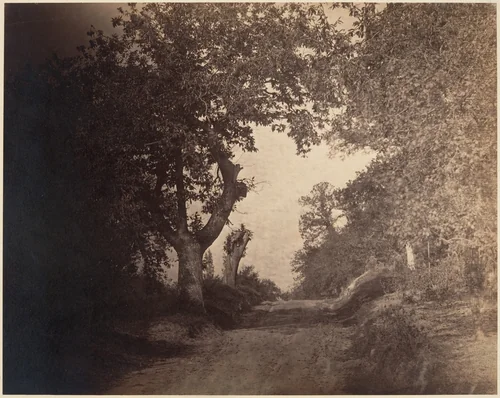 Fontainebleau, chemin sablonneux montant by Gustave Le Gray, photograph, 1854-1858