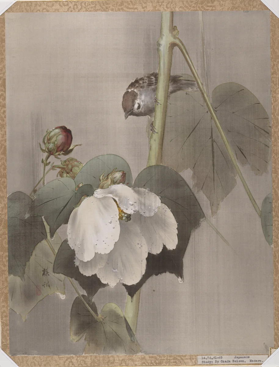 Cotton Rose Mallows in the Rain by Okada Baison, painting, 1891-1892