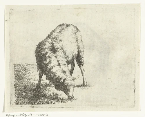 Grazend schaap, bij boomstronk by anonymous, print, 1677-1850