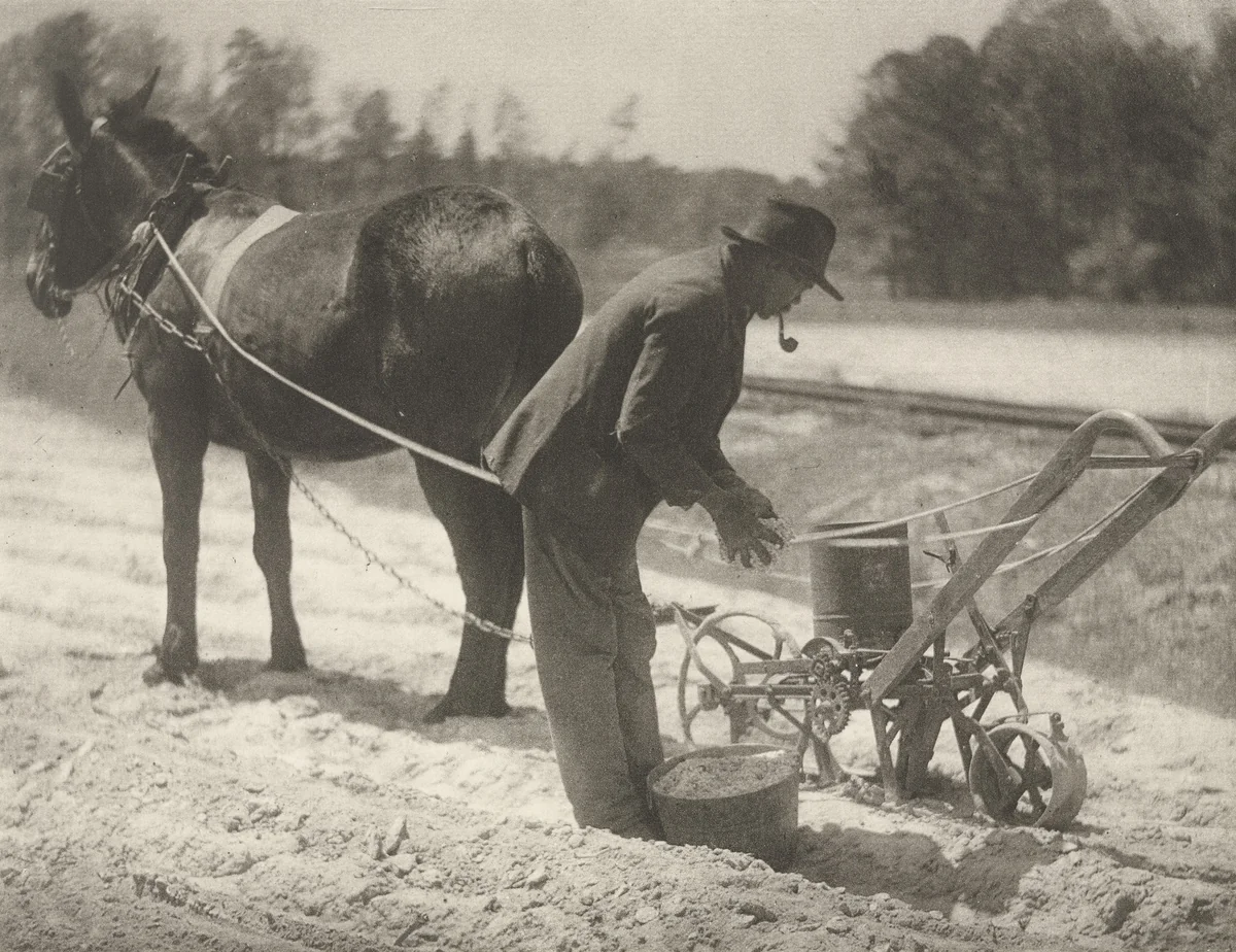 Untitled by Doris Ulmann, photograph, 1929