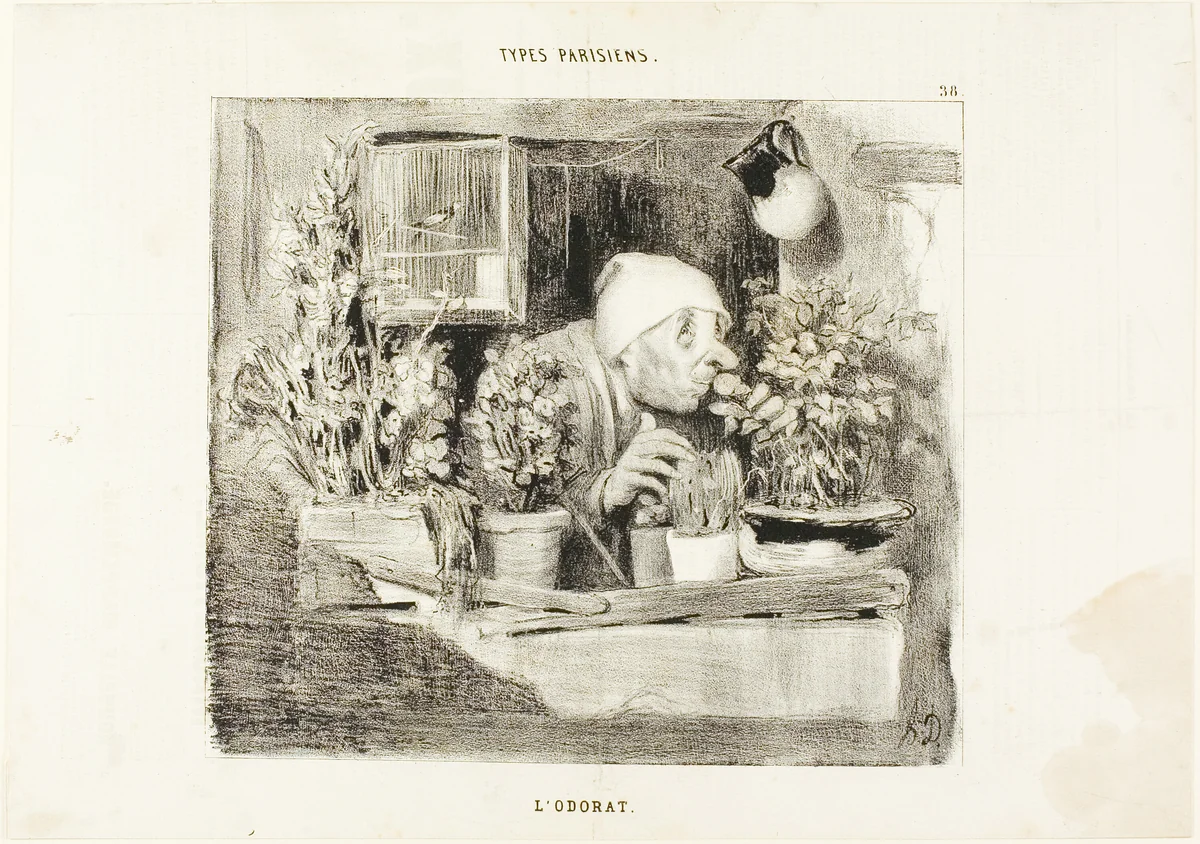 Smell, plate 38 from Types Parisiens by Honoré-Victorin Daumier, print, 1839