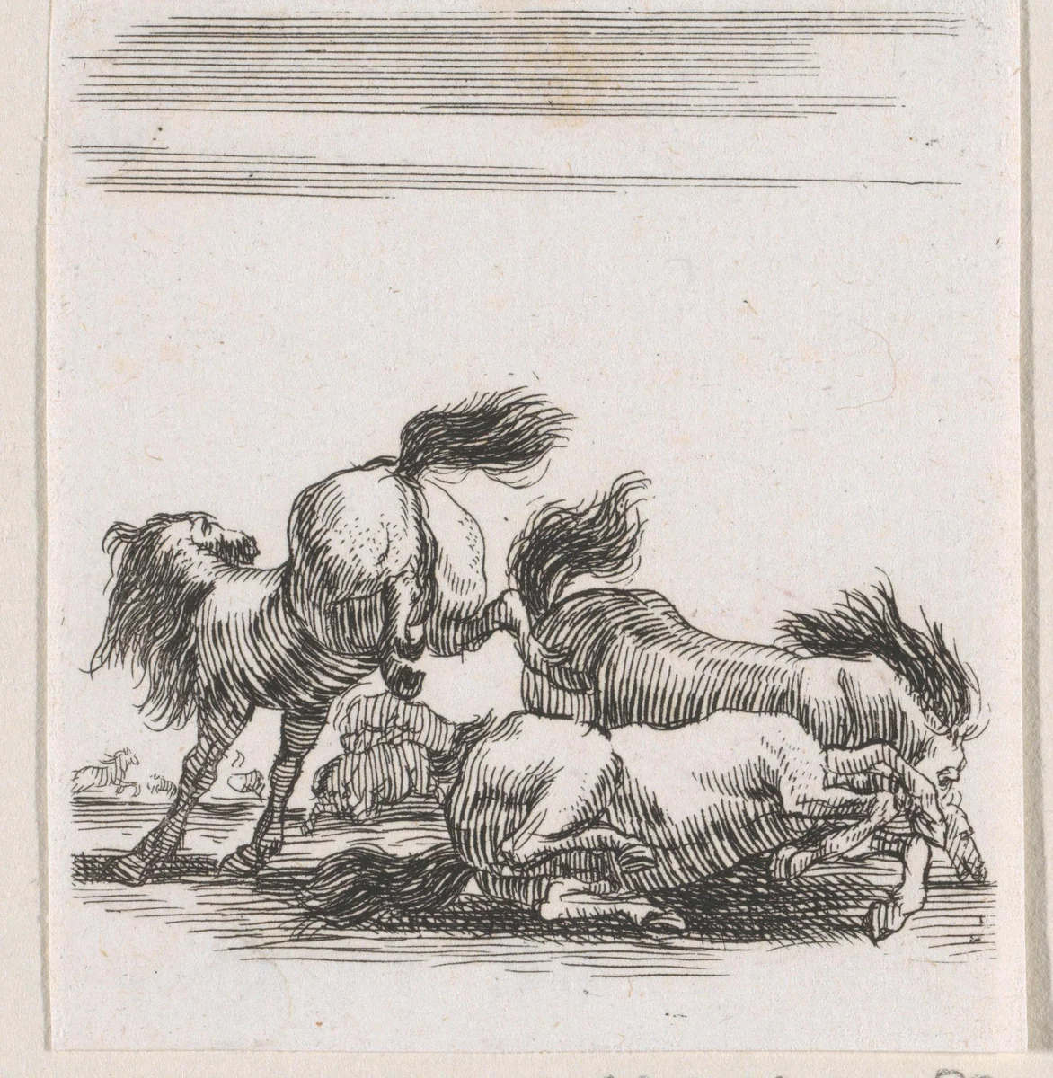 Vechtende paarden by anonymous, print, 1620-1664