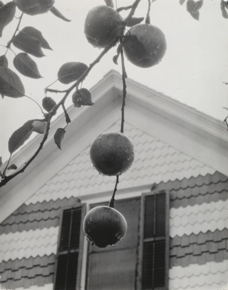 Apples and Gable, Lake George by Alfred Stieglitz, photograph, 1922
