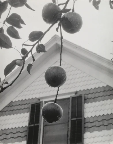 Apples and Gable, Lake George by Alfred Stieglitz, photograph, 1922