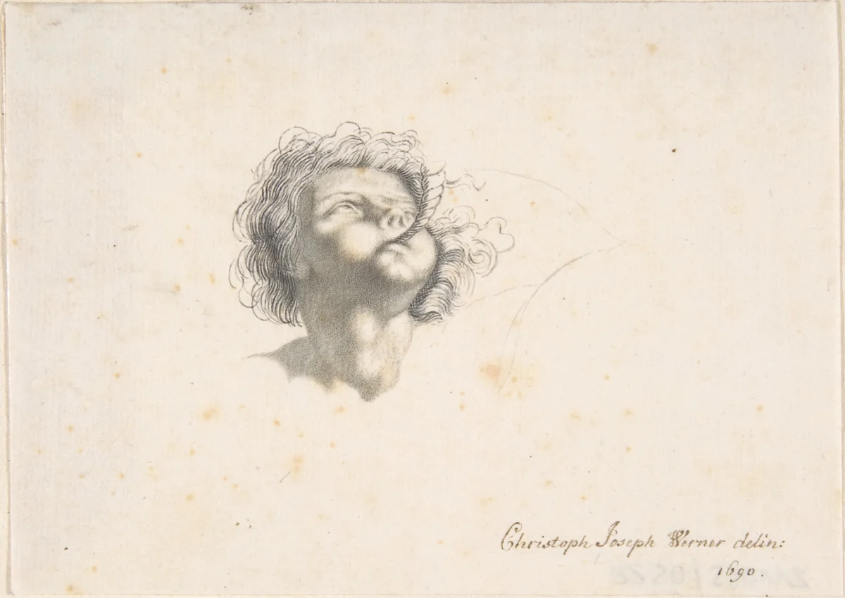 Head of a Putto by Christoph Joseph Werner, drawing, 1690
