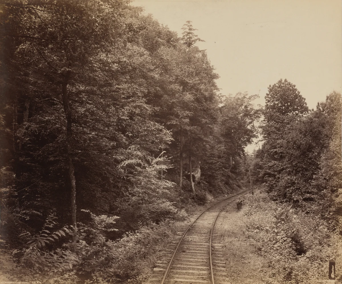 Musconetcong Glen by William H. Rau, photograph, 1890-1900